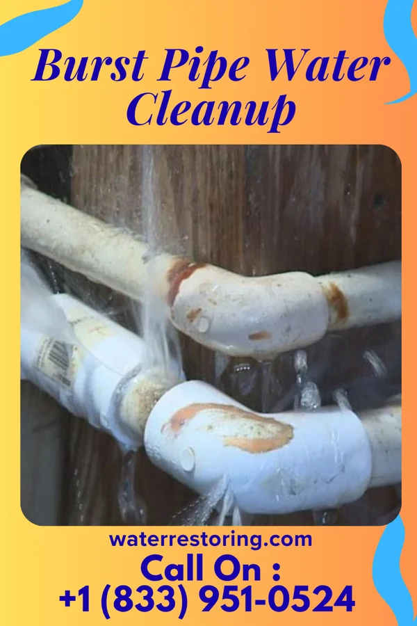 Burst Pipe Water Cleanup in Cochiti, NM